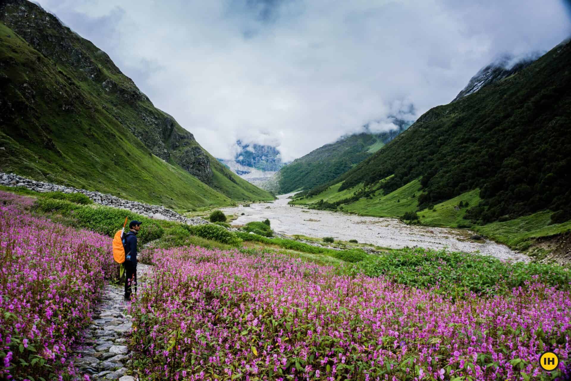 Valley Of Flowers VOF Rupesh Thakare ValleyOfFlowers Scaled 1 