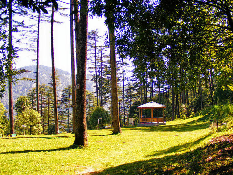 dehradun mussoorie dhanaulti tour package